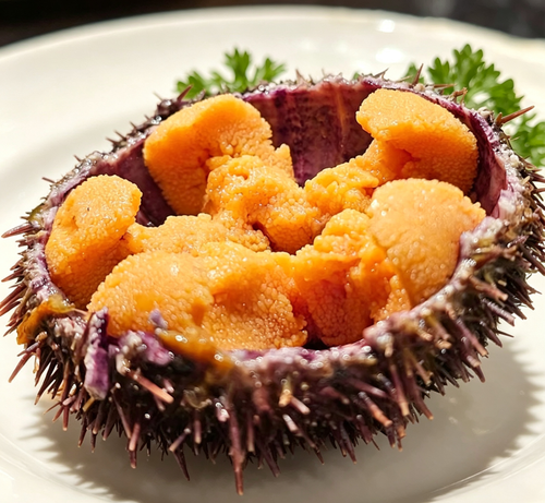 Fresh Sea Urchin Roe: A Gourmet Delight