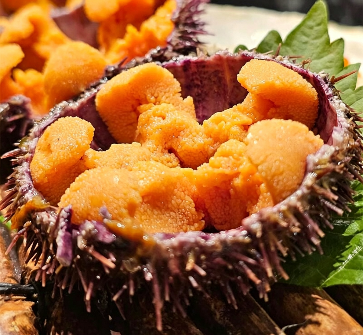 Fresh Sea Urchin Roe: A Gourmet Delight